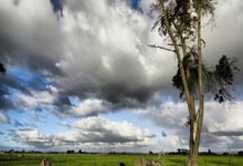 手机虎扑官网：真稳了？拜仁未来6轮对手都在下半区，全队狂奔庆祝&凯恩默默振臂.