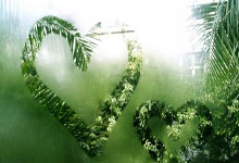 手机虎扑官网：电视剧都不敢演！网球女神为教练不顾一切，年赚五千万却甘受委屈.