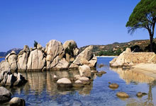 手机虎扑官网：法尔克：拜仁对谢什科展现出了浓厚兴趣，埃贝尔非常看好他.